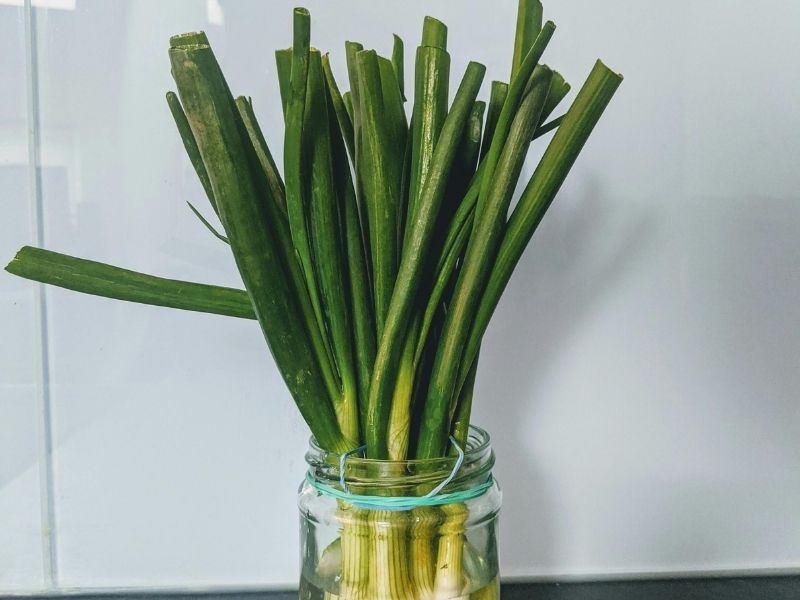 Recycled glass jar herb planters
