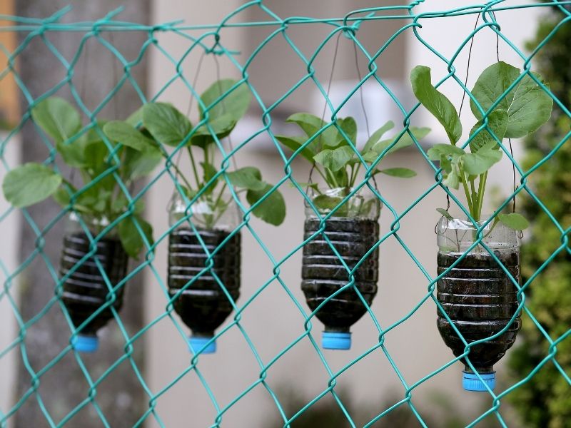 Vertical garden from bottles